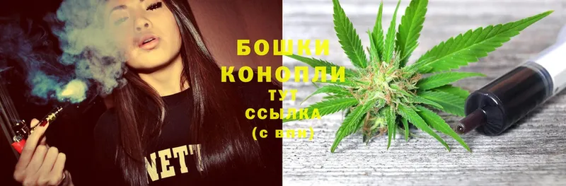 купить наркотики цена  Канаш  МАРИХУАНА Ganja 